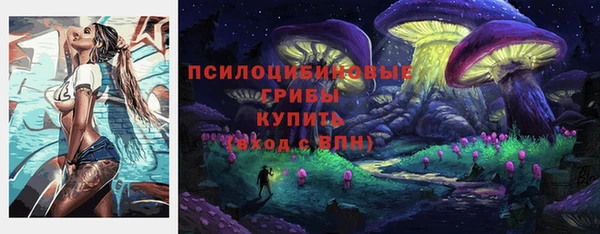 мдпв Богданович